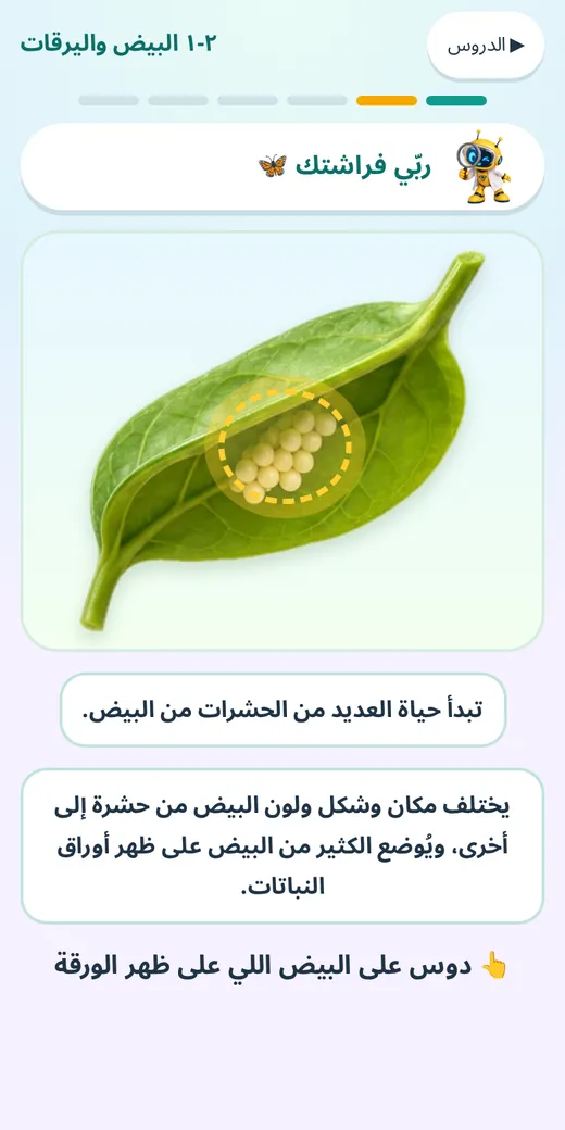 التجربة — لعبة علوم رابعة ابتدائي